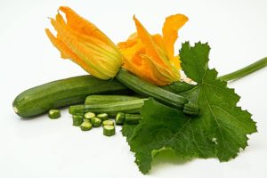 Courgette Dimant : Plant potager