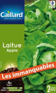 laitue-appia