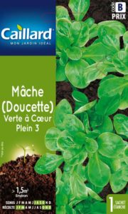 mache-verte-a-coeur-plein-3