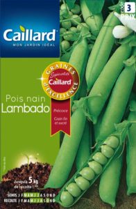 pois-nain-lambado